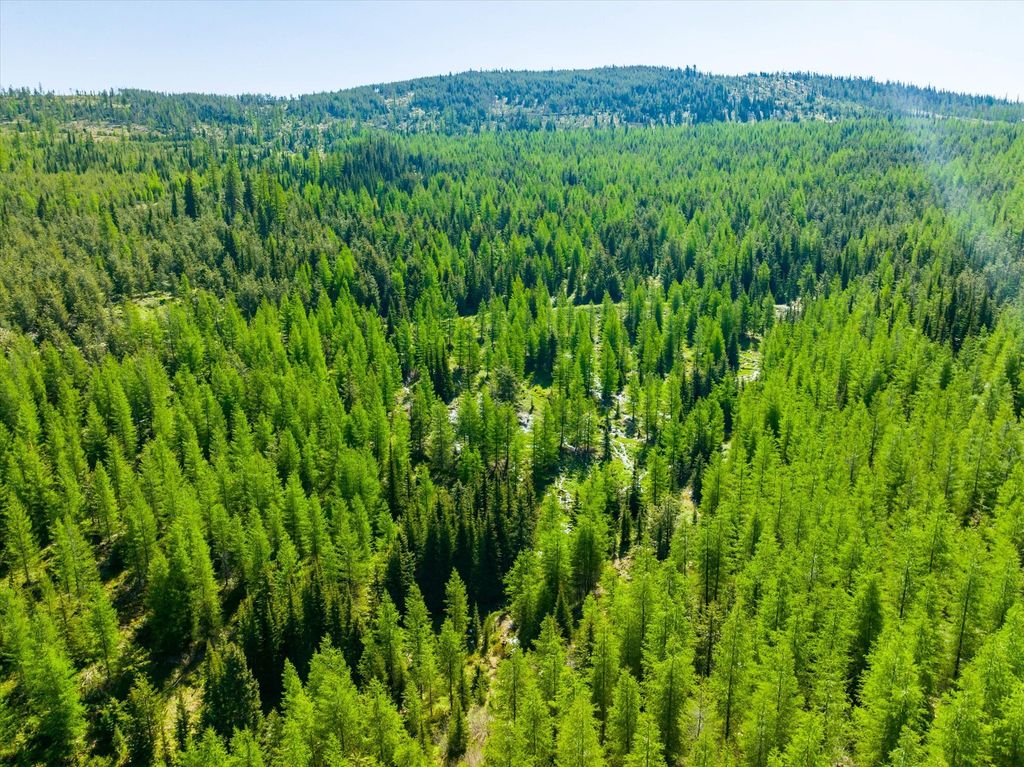 Nhn Griffin Creek Road, Marion, MT 59925 photo 10