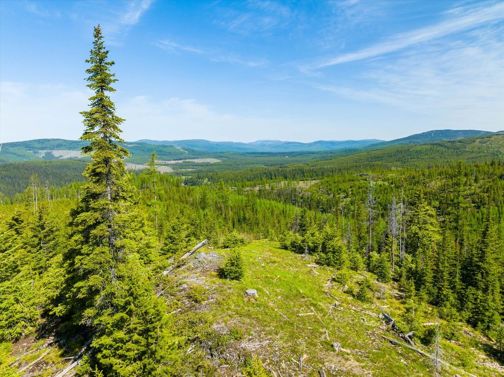 Nhn Griffin Creek Road, Marion, MT 59925 photo 13