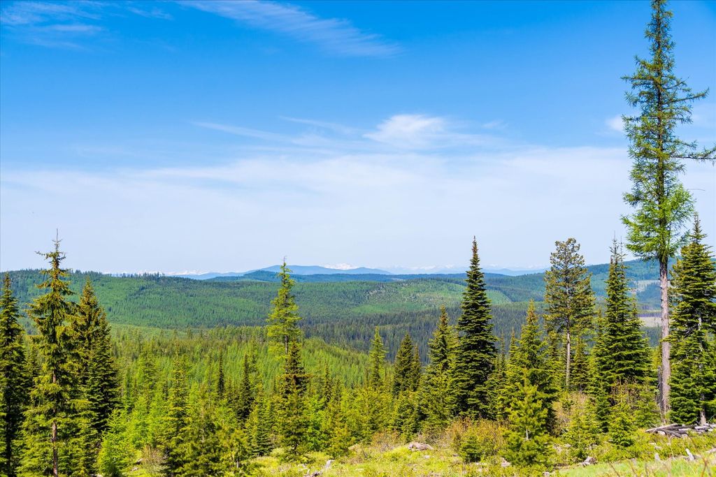 Nhn Griffin Creek Road, Marion, MT 59925 photo 14