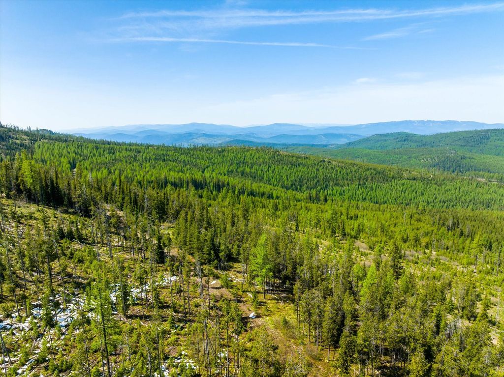 Nhn Griffin Creek Road, Marion, MT 59925 photo 18