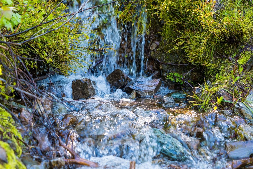 Nhn Griffin Creek Road, Marion, MT 59925 photo 2