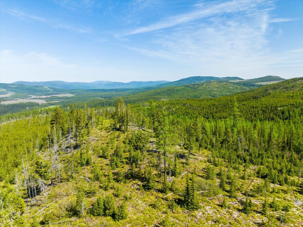 Nhn Griffin Creek Road, Marion, MT 59925 photo 26