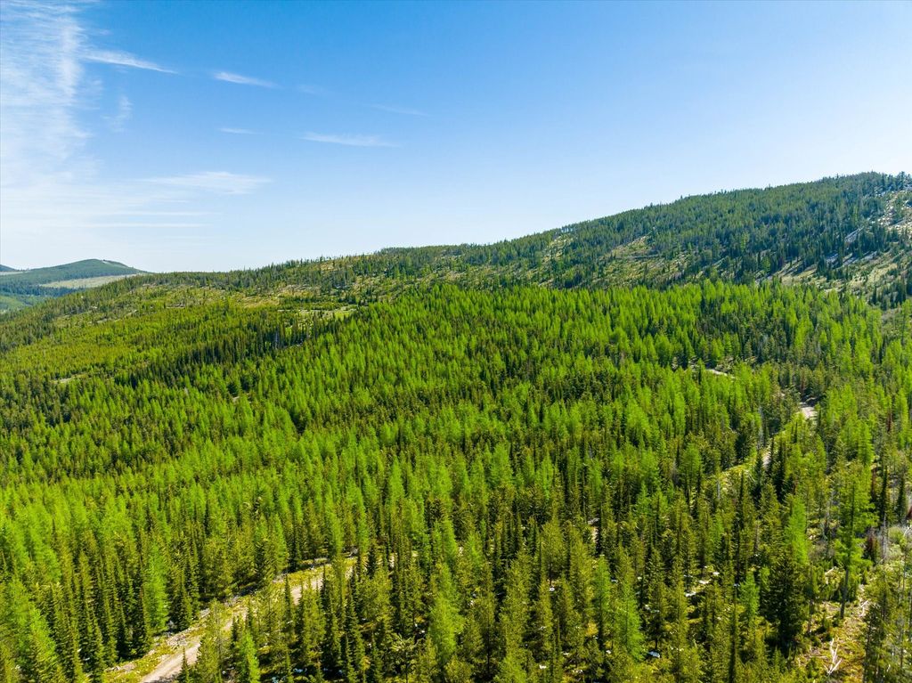 Nhn Griffin Creek Road, Marion, MT 59925 photo 27