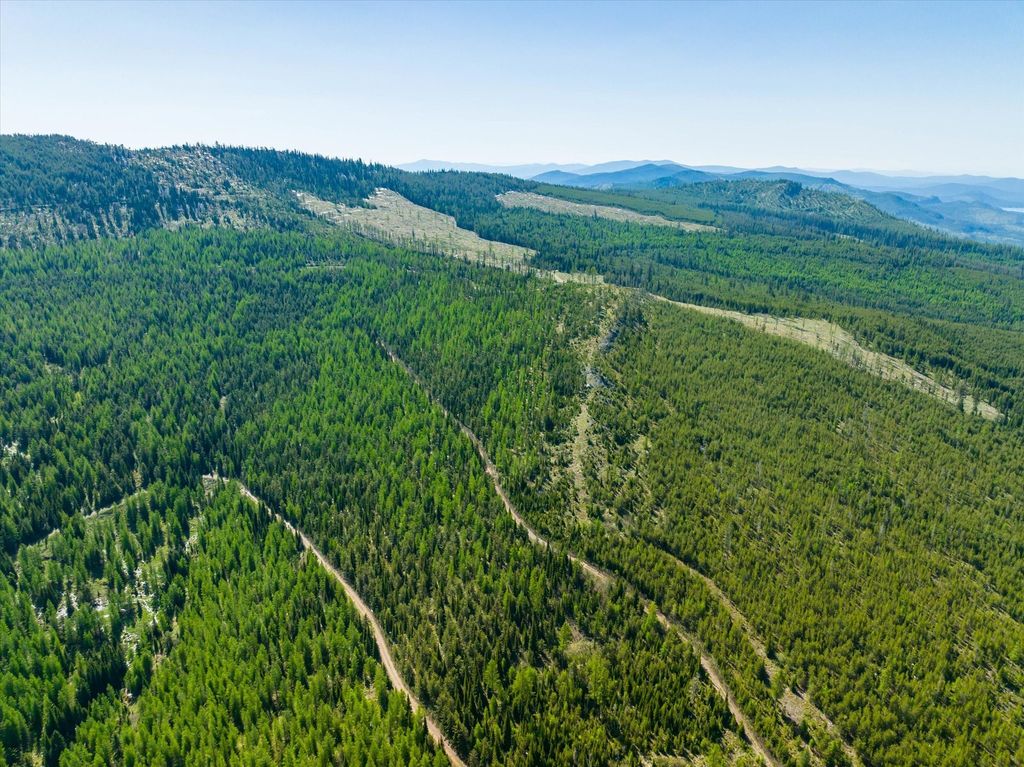 Nhn Griffin Creek Road, Marion, MT 59925 photo 36