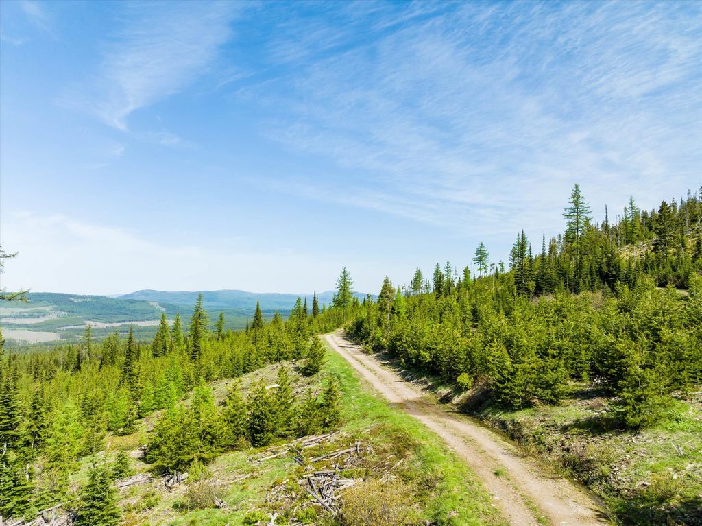 Nhn Griffin Creek Road, Marion, MT 59925 photo 38