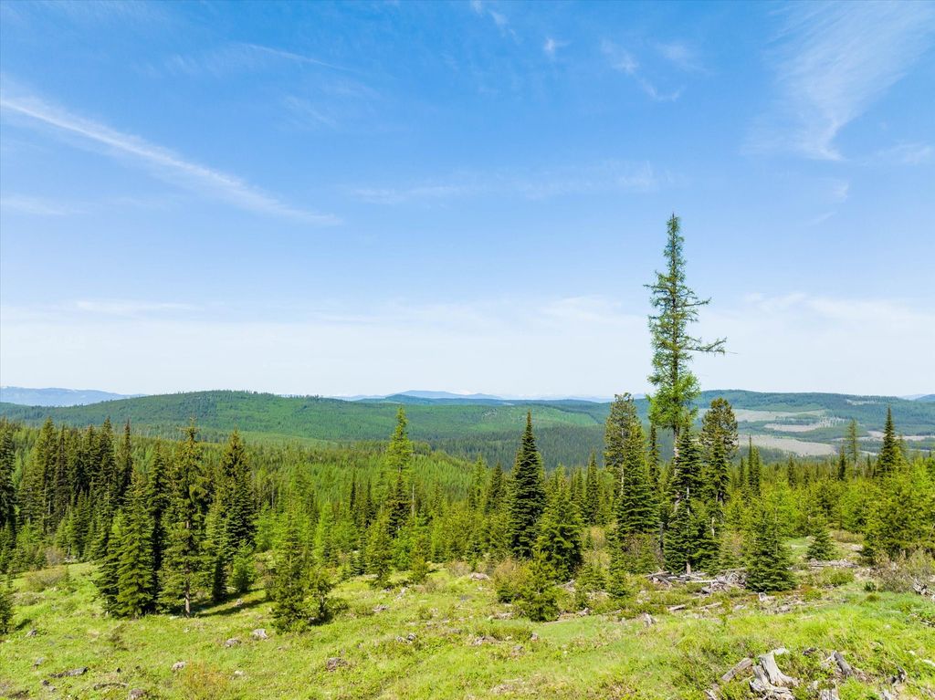 Nhn Griffin Creek Road, Marion, MT 59925 photo 39