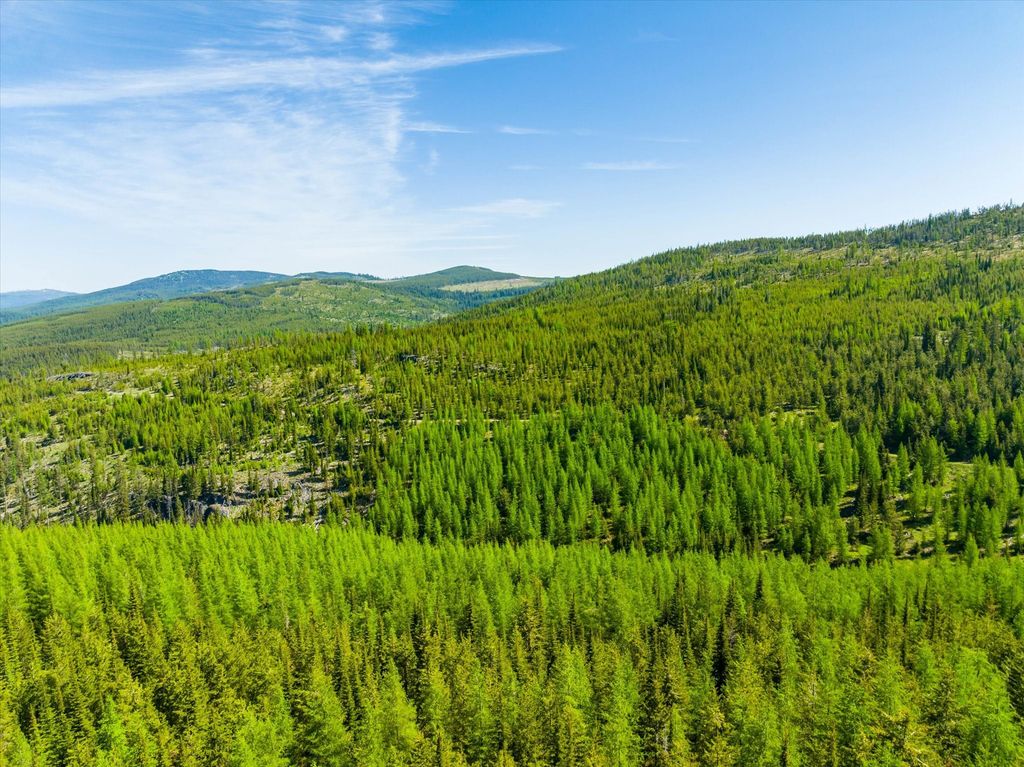 Nhn Griffin Creek Road, Marion, MT 59925 photo 4