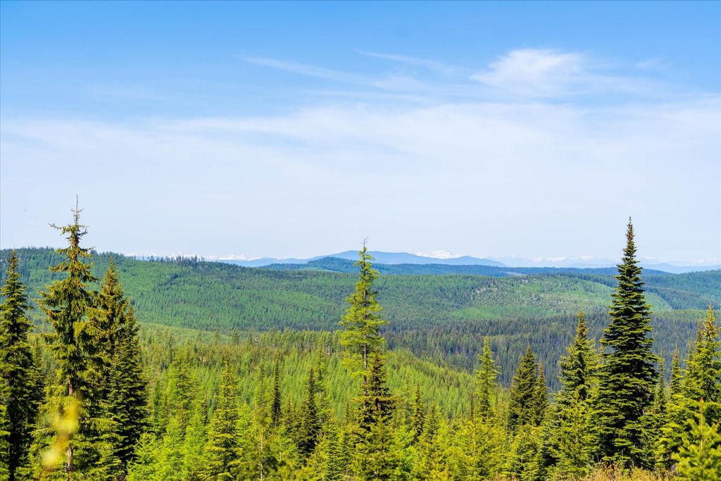 Nhn Griffin Creek Road, Marion, MT 59925 photo 40