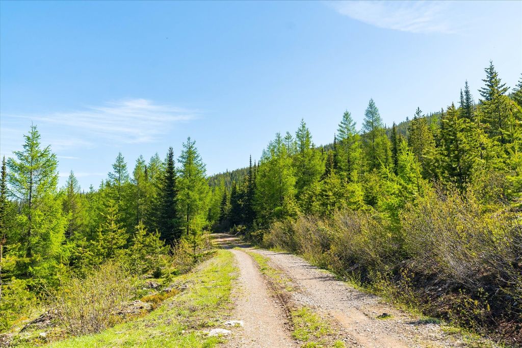 Nhn Griffin Creek Road, Marion, MT 59925 photo 41
