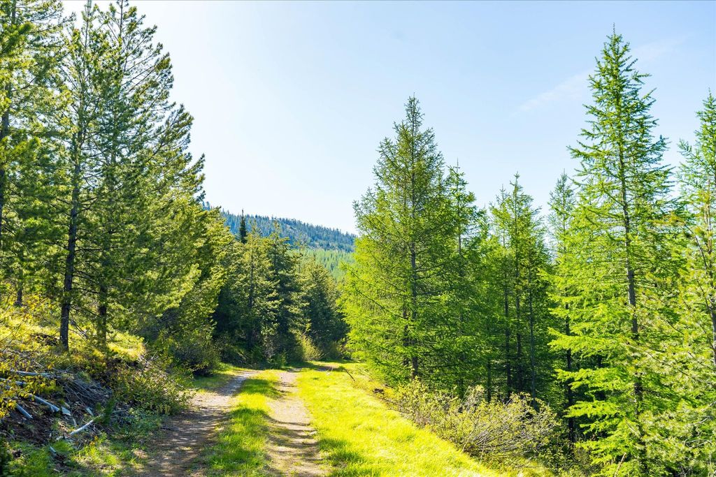 Nhn Griffin Creek Road, Marion, MT 59925 photo 43