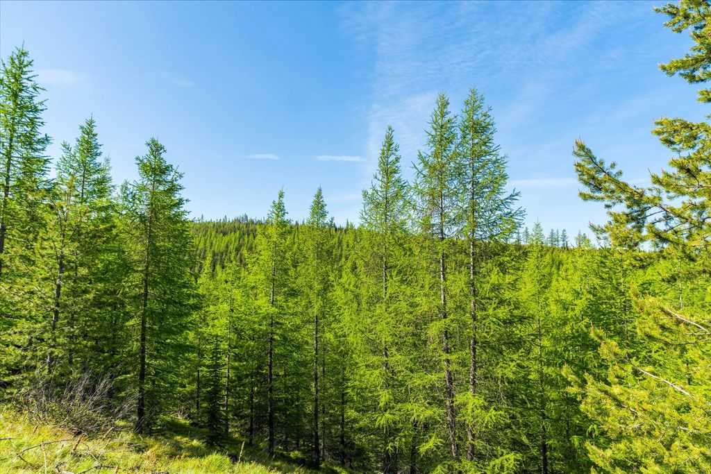 Nhn Griffin Creek Road, Marion, MT 59925 photo 44