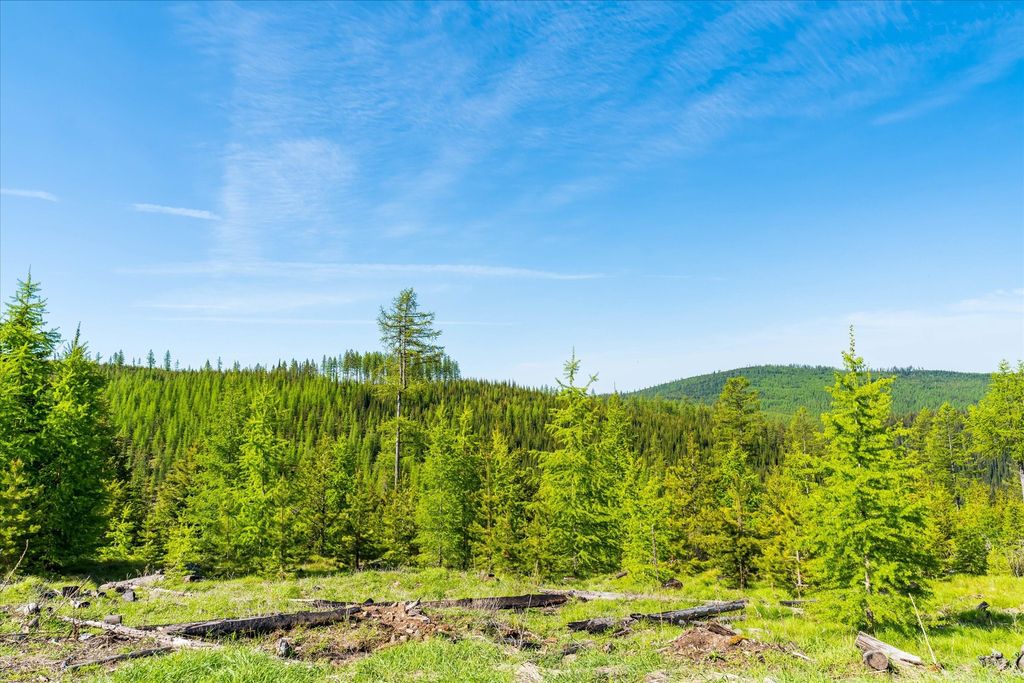 Nhn Griffin Creek Road, Marion, MT 59925 photo 45