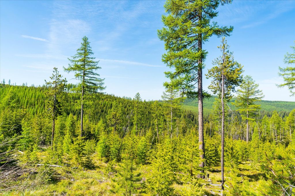 Nhn Griffin Creek Road, Marion, MT 59925 photo 46