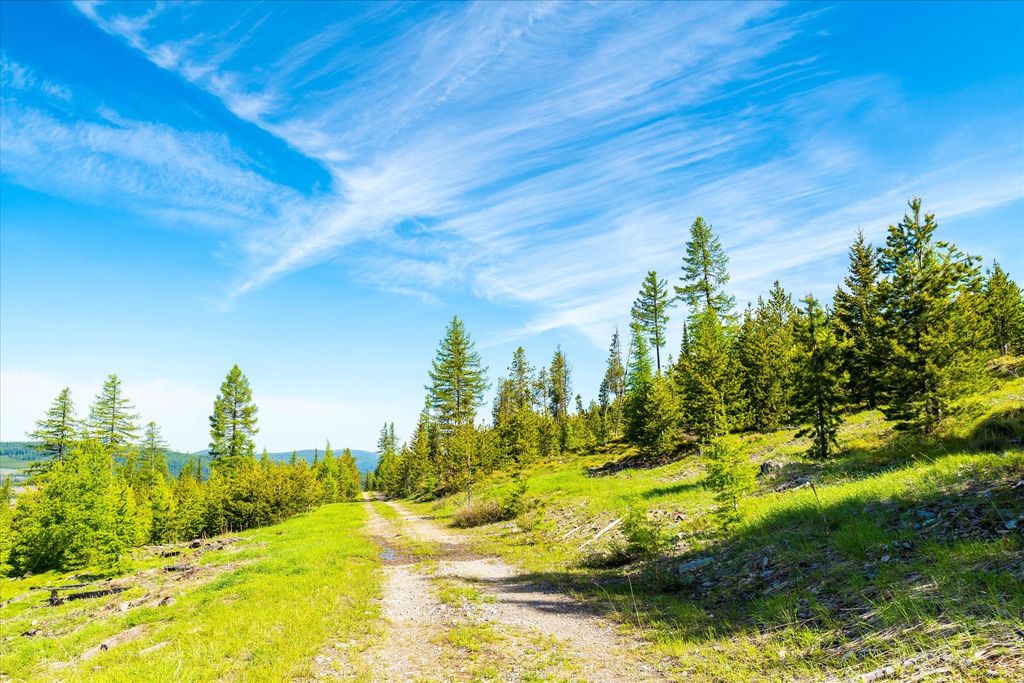 Nhn Griffin Creek Road, Marion, MT 59925 photo 48