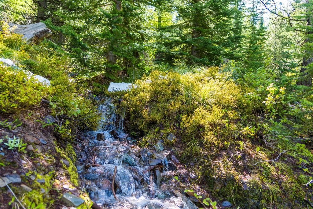 Nhn Griffin Creek Road, Marion, MT 59925 photo 5