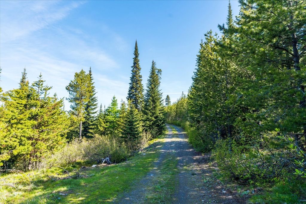Nhn Griffin Creek Road, Marion, MT 59925 photo 50