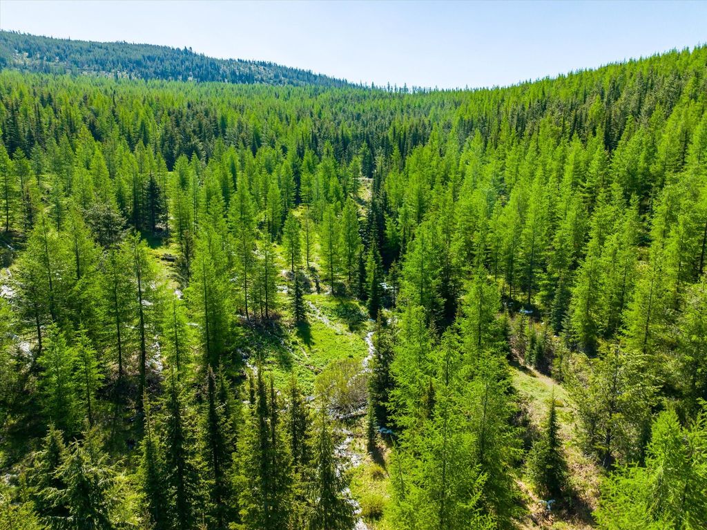 Nhn Griffin Creek Road, Marion, MT 59925 photo 6