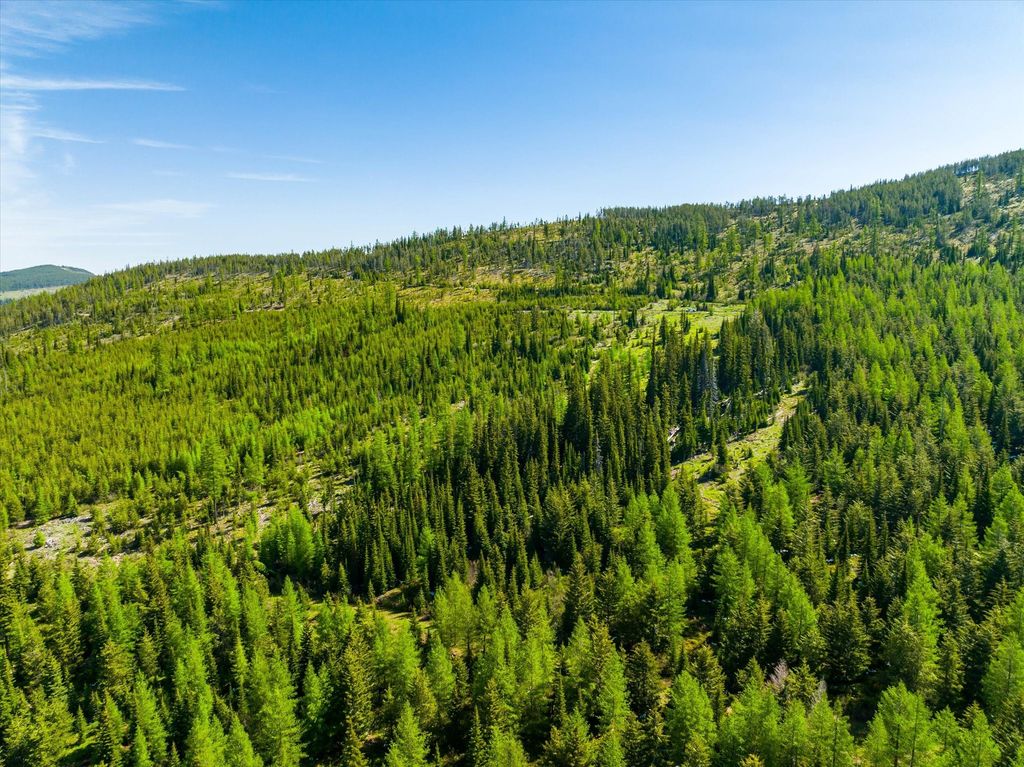 Nhn Griffin Creek Road, Marion, MT 59925 photo 7