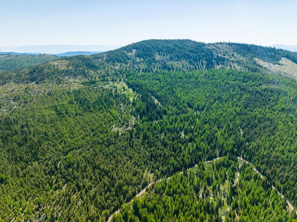 Nhn Griffin Creek Road, Marion, MT 59925 photo 8