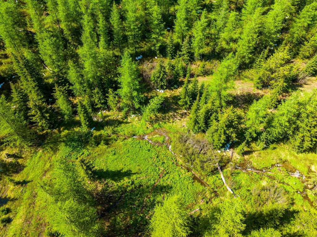 Nhn Griffin Creek Road, Marion, MT 59925 photo 9