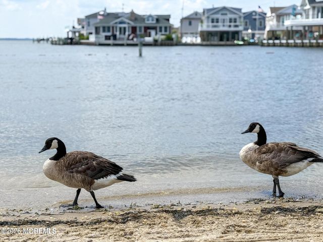 34 E Tarpon Way, Lavallette, NJ 08735