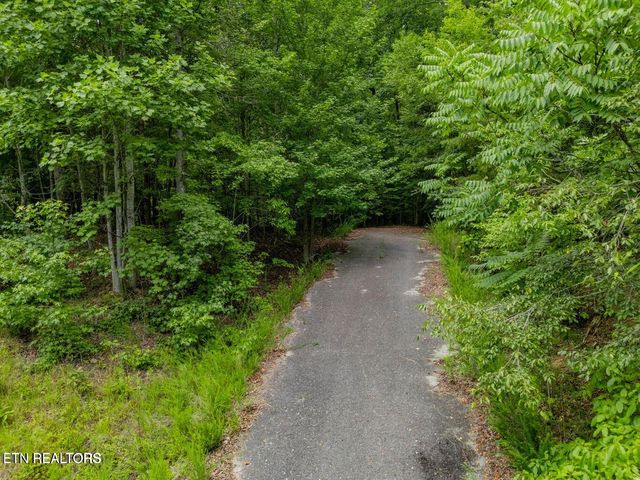 Crystal Springs Rd, Rockwood, TN 37854