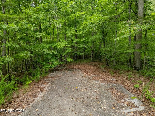 Crystal Springs Rd, Rockwood, TN 37854