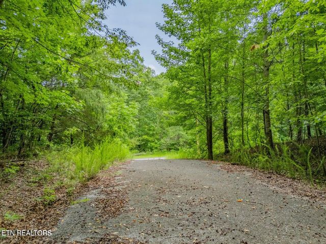 Crystal Springs Rd, Rockwood, TN 37854