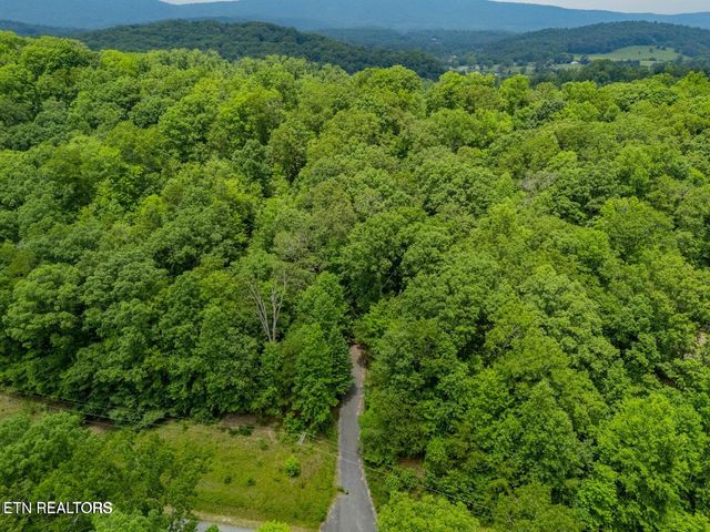 Crystal Springs Rd, Rockwood, TN 37854