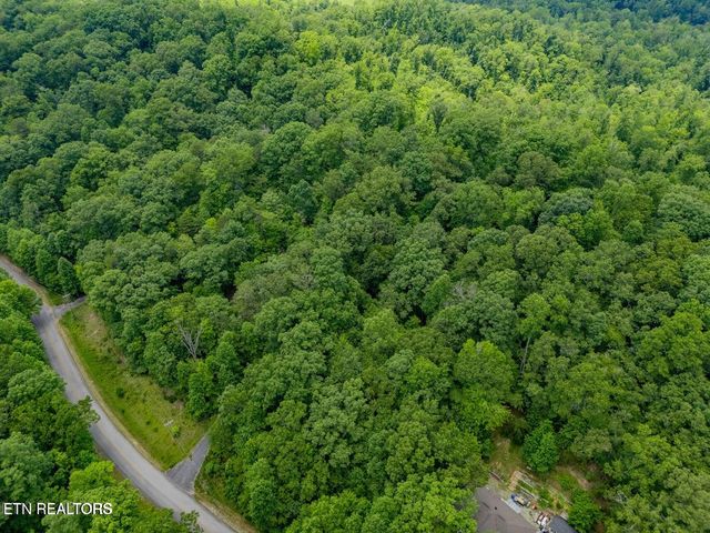 Crystal Springs Rd, Rockwood, TN 37854