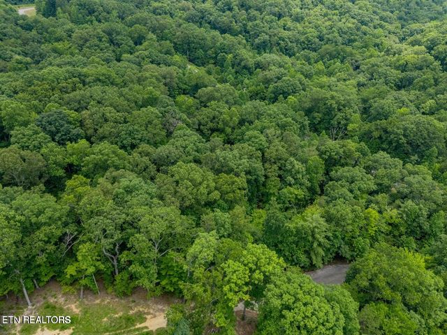 Crystal Springs Rd, Rockwood, TN 37854
