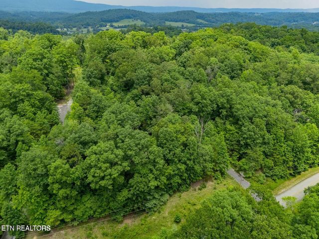Crystal Springs Rd, Rockwood, TN 37854