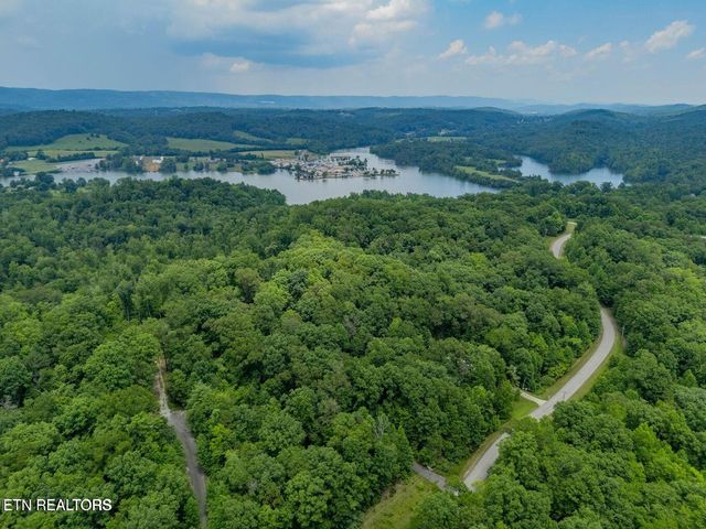 Crystal Springs Rd, Rockwood, TN 37854