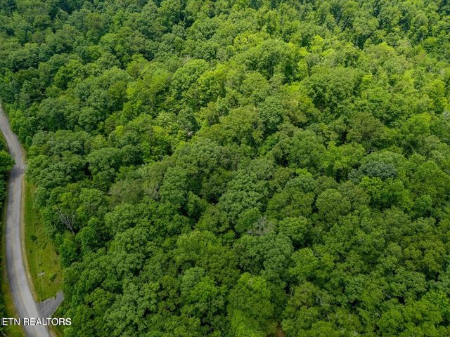 Crystal Springs Rd, Rockwood, TN 37854