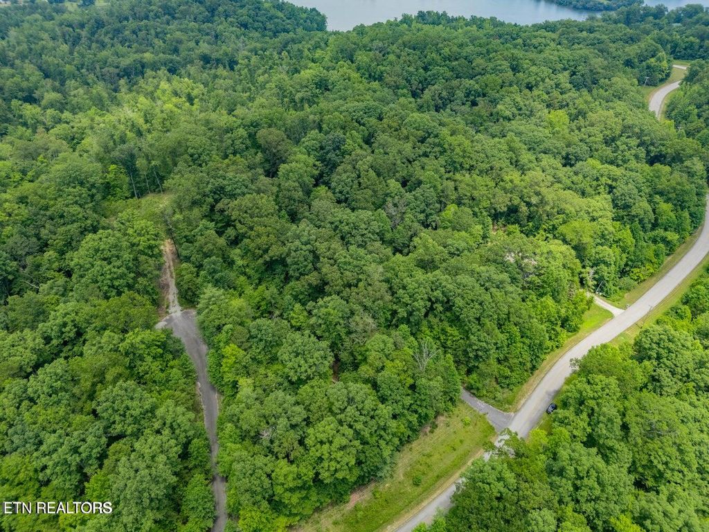 Crystal Springs Rd, Rockwood, TN 37854