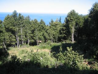 205 Cook Road, Shelter Cove, CA 95589