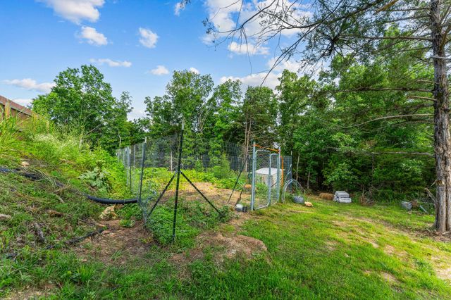 770 Mills Hollow Road, Branson, MO 65616