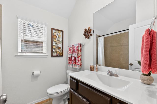 19043 Pinewood Grove Trail, New Caney, TX 77357