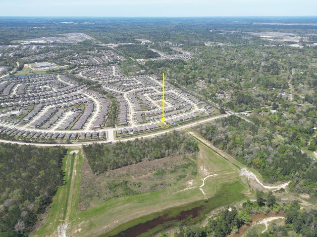 19043 Pinewood Grove Trail, New Caney, TX 77357