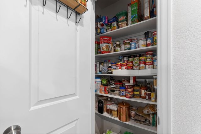 19043 Pinewood Grove Trail, New Caney, TX 77357