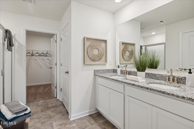 115 Mint Court, Bluff City, TN 37618