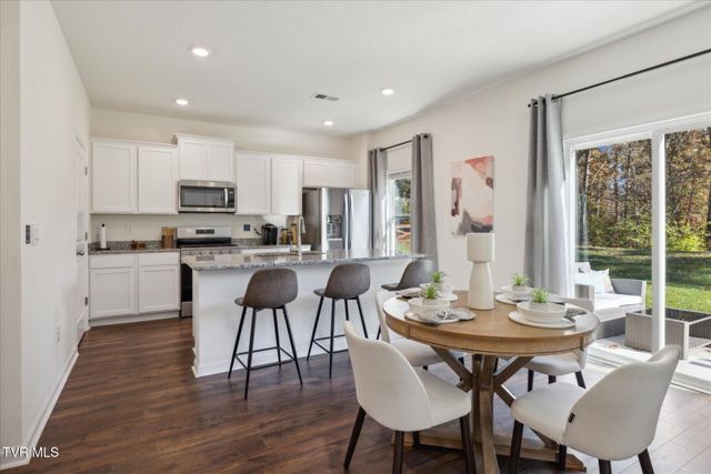 115 Mint Court, Bluff City, TN 37618