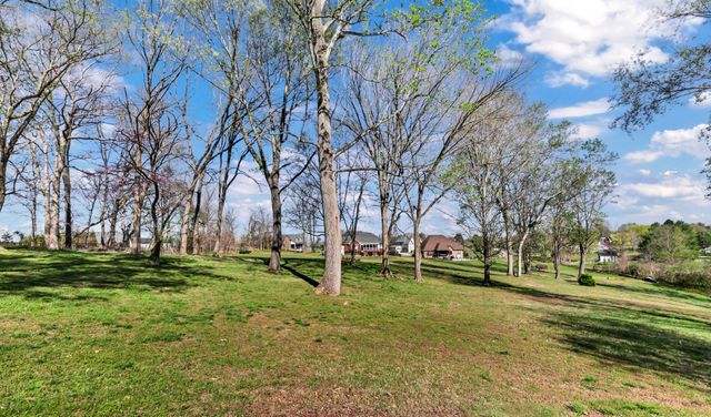 930 Doe Run Ct, Adams, TN 37010