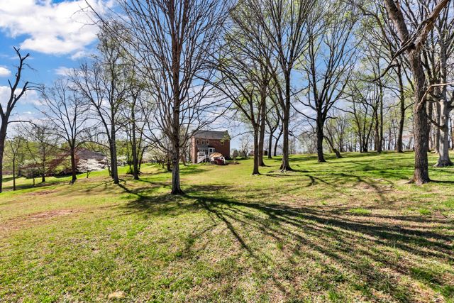 930 Doe Run Ct, Adams, TN 37010