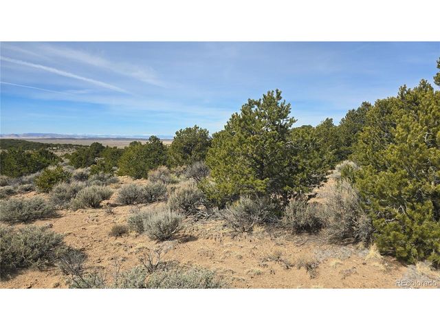 1075 Sylvia Rd, Fort Garland, CO 81133