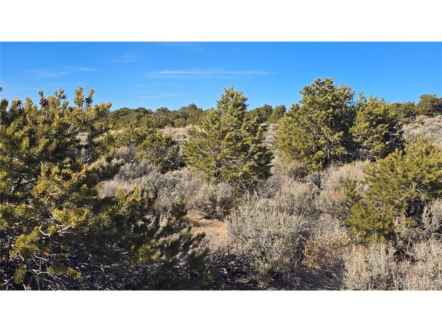 1075 Sylvia Rd, Fort Garland, CO 81133