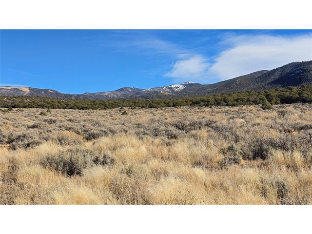 1075 Sylvia Rd, Fort Garland, CO 81133