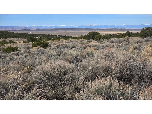 1075 Sylvia Rd, Fort Garland, CO 81133