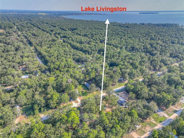 767 Windwood Drive, Livingston, TX 77351