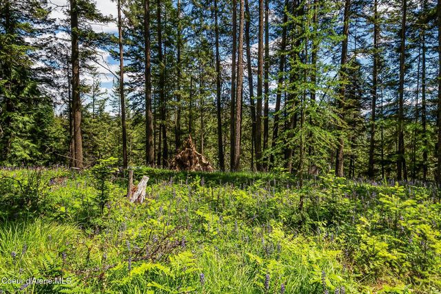 561 Geenen RD, Cocolalla, ID 83813